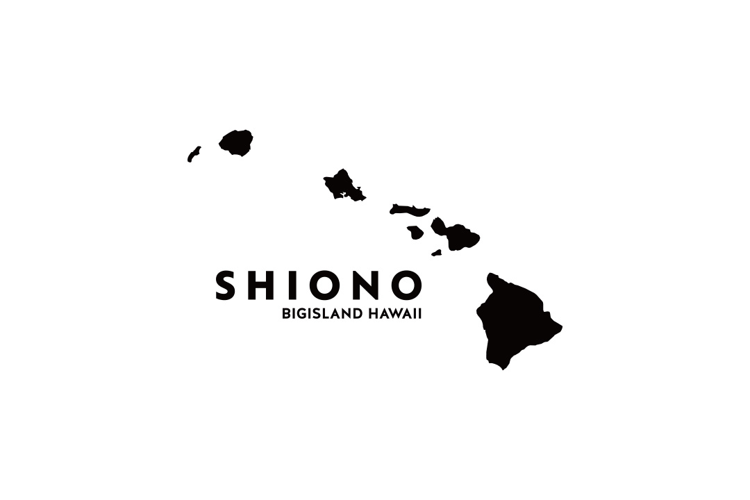 SHIONO OFFICE